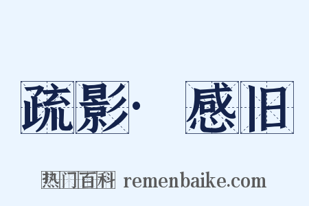 疏影·感旧是什么意思的图片